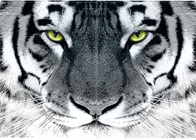 harimau