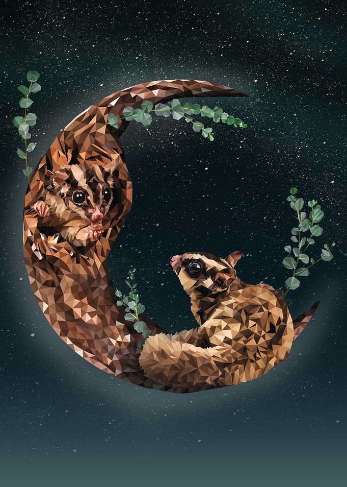 SUGAR GLIDER