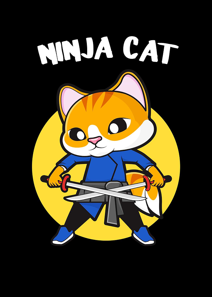 Funny Ninja Cat Cats Lover