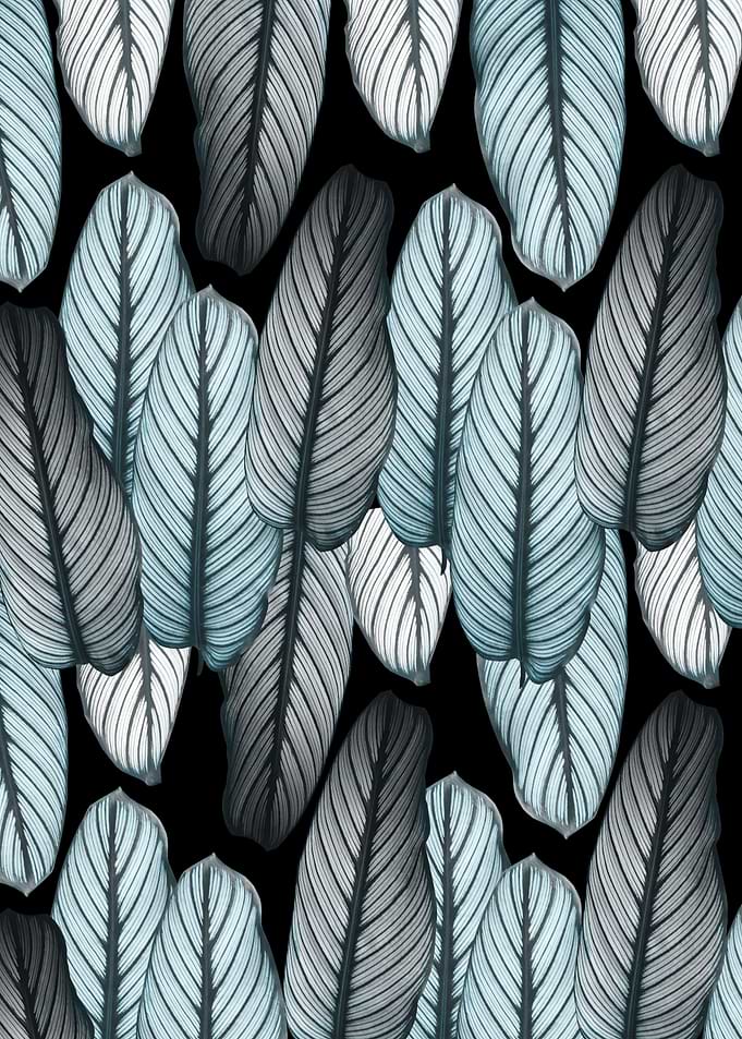 Calathea Leaves Pattern 1