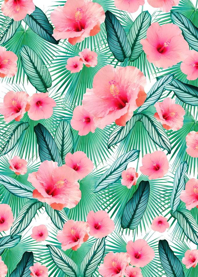 Hibiscus Calathea Palm 2