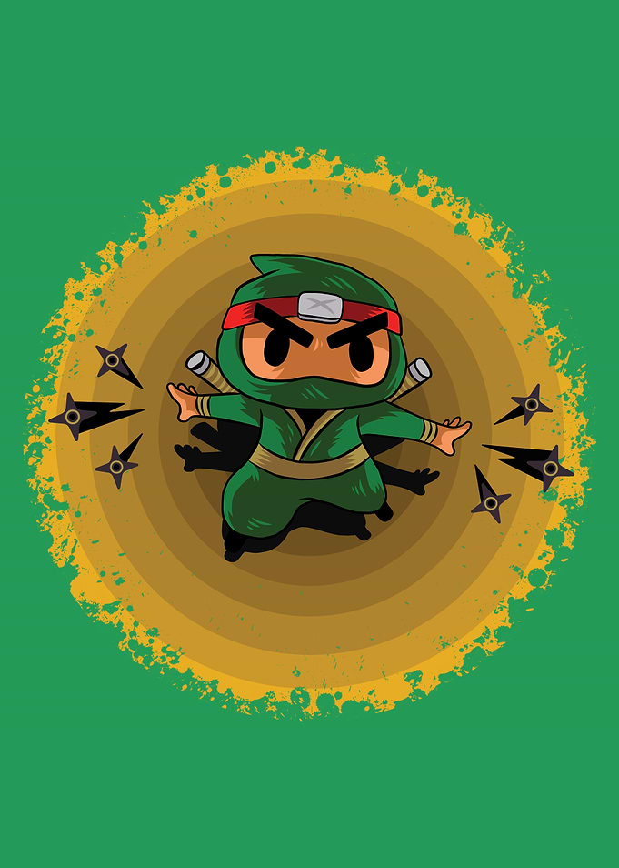 Little Ninja