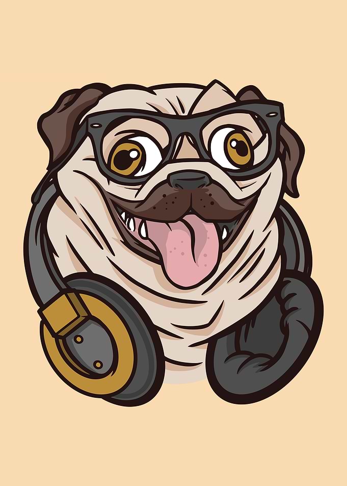Hipster pug