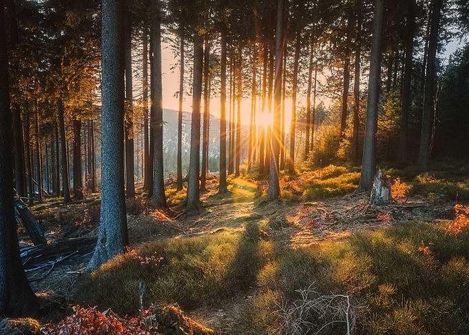 Harz Mountains