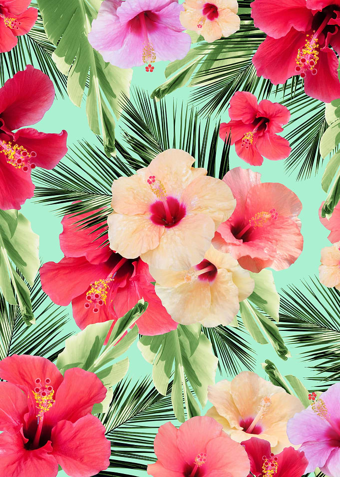 Tropical Hibiscus Dream 1