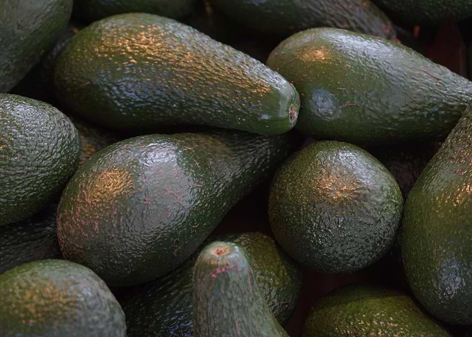 Green Avocados