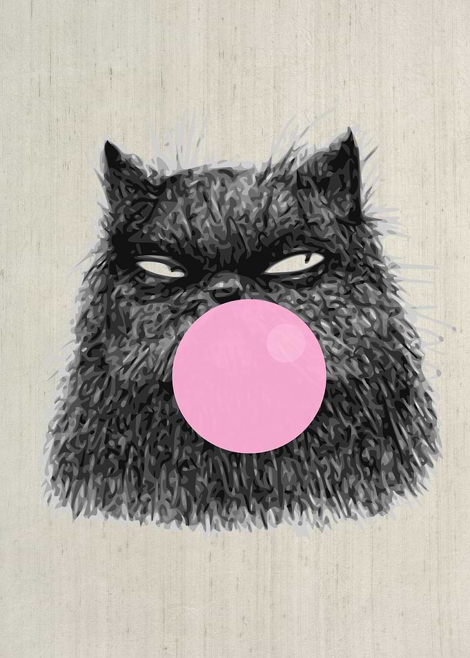 SCRUFFY CAT BUBBLEGUM