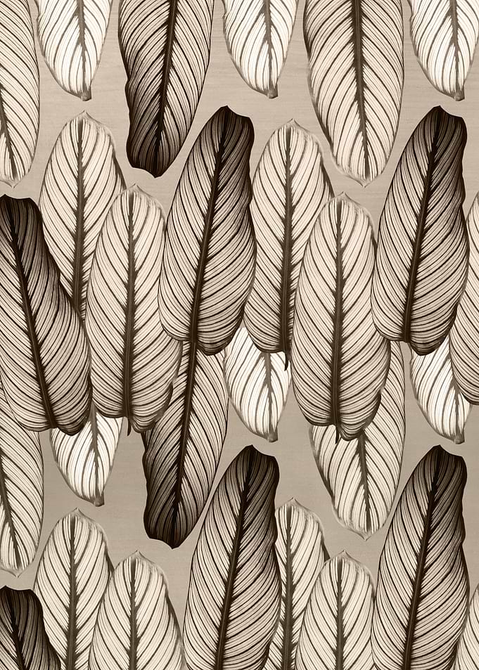 Calathea Leaves Pattern 2