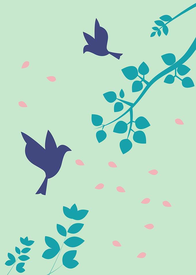 Bird Couple