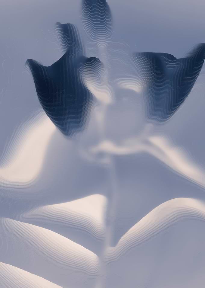 Abstract lilies