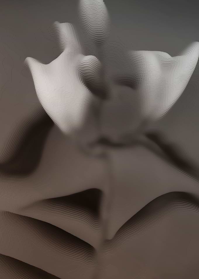 Abstract lilies