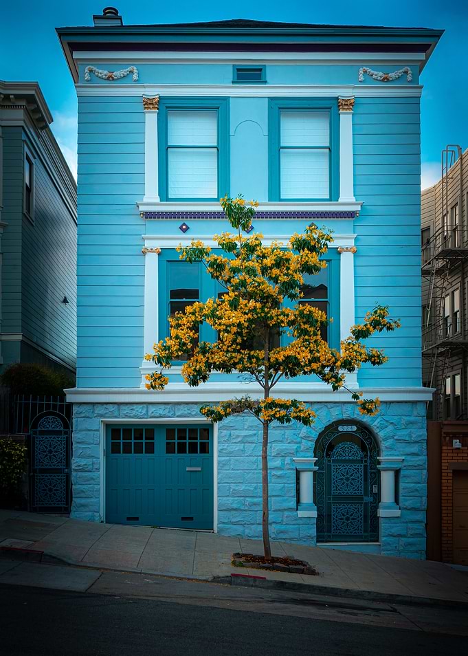 The blue house