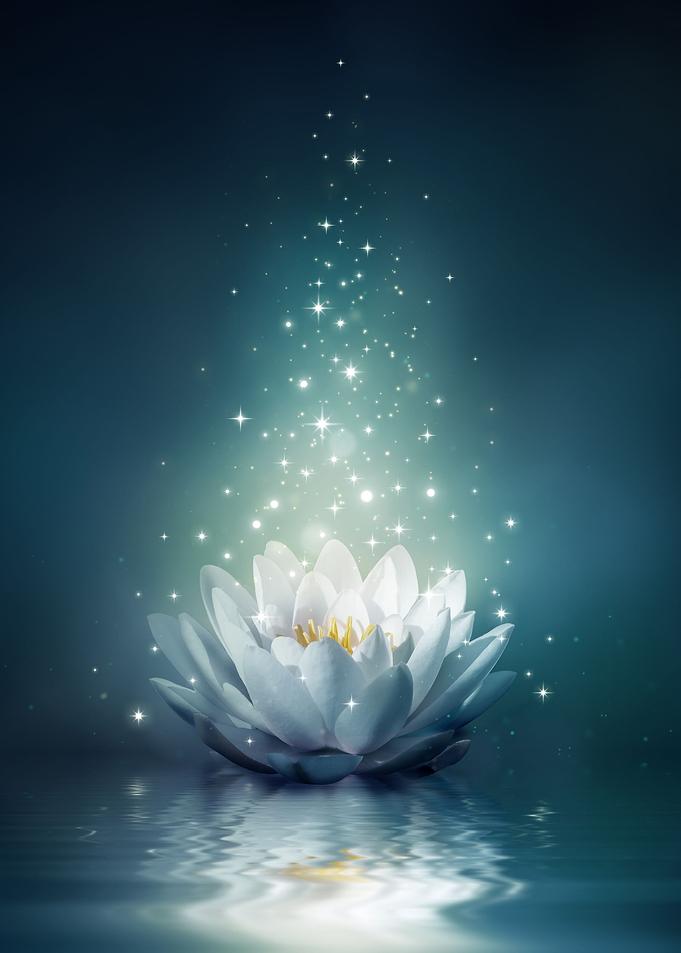 flower is art