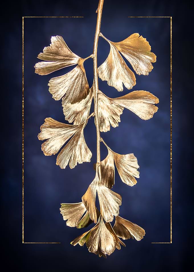 Ginko Tree