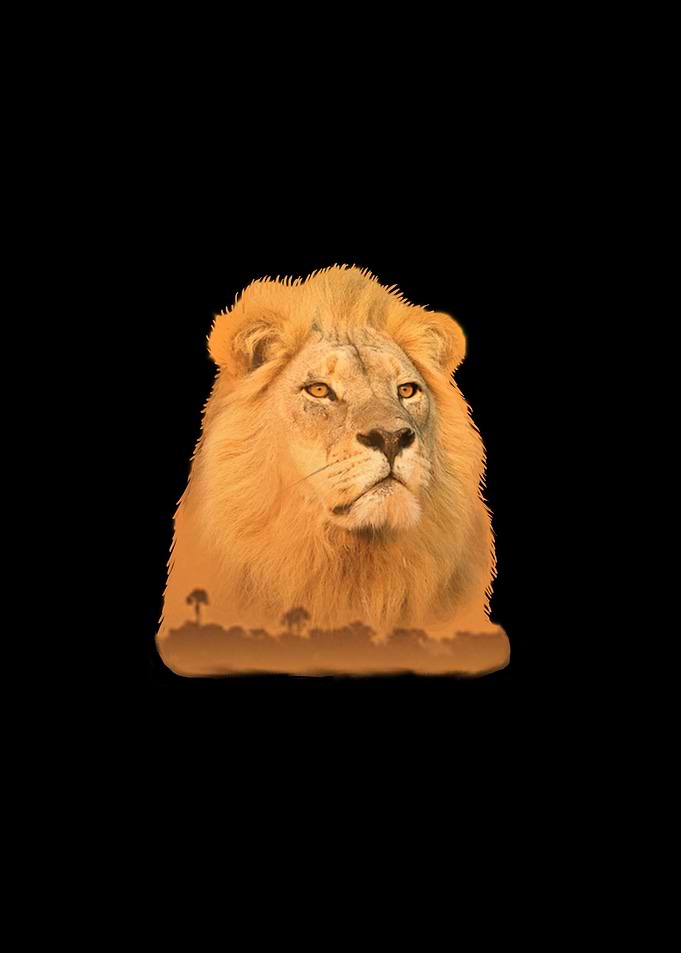Safari Hunting Lion