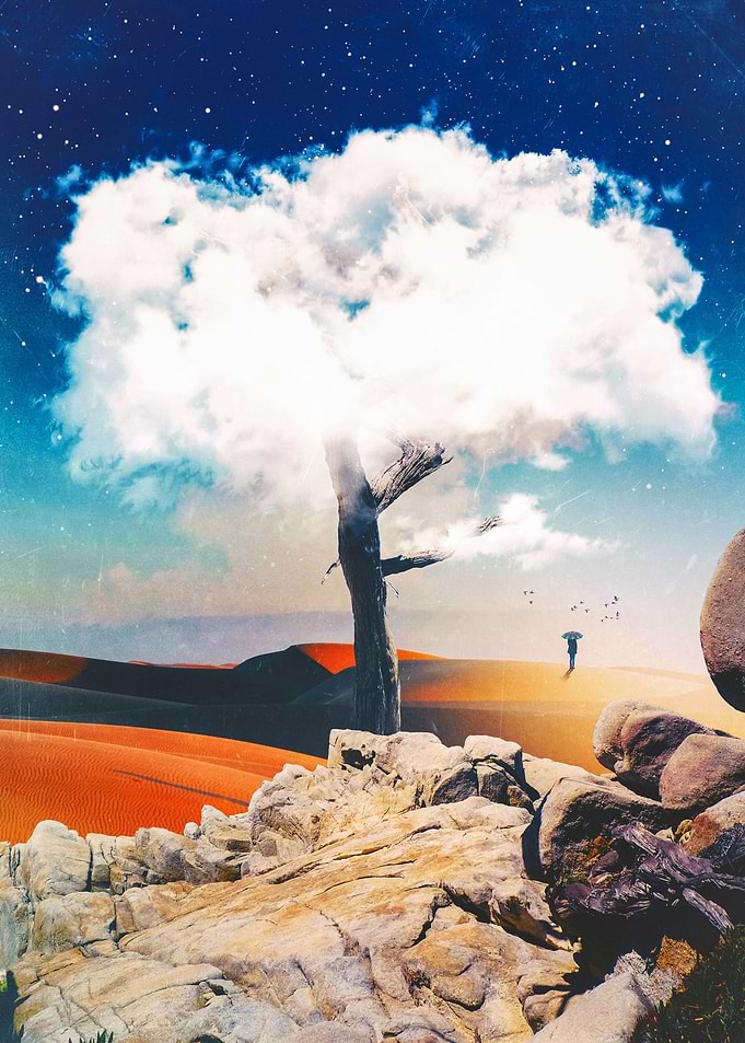 The Ephemeral Tree