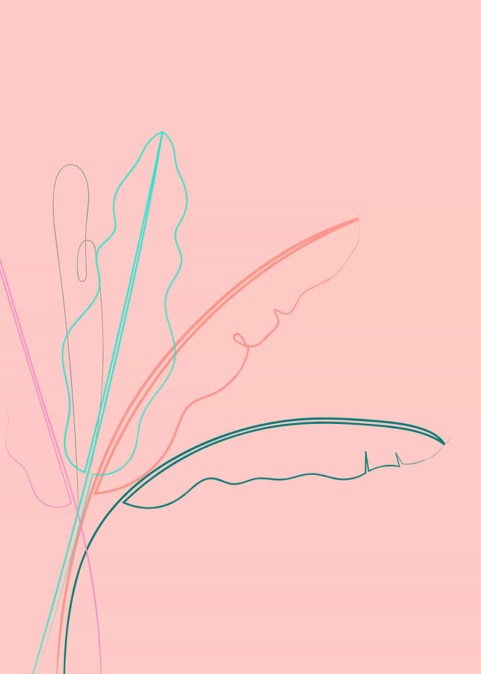 Banana Palm On Coral