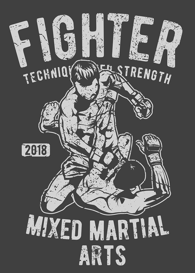 Fighter