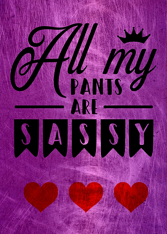 ALL MY PANTS ARE SASSY