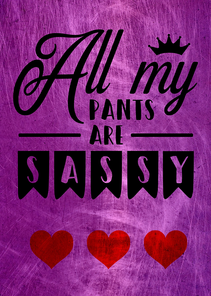 ALL MY PANTS ARE SASSY