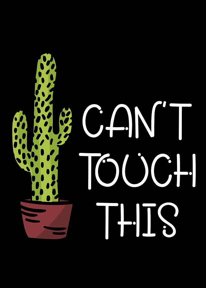 Cant touch this cactus