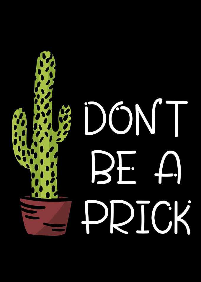 Dont be a prick cactus