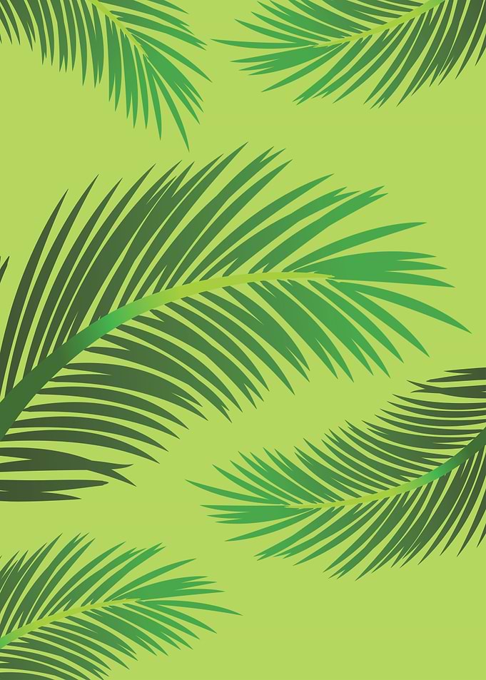 green palm