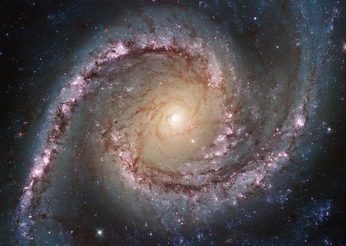 Grand Swirls NGC 1566