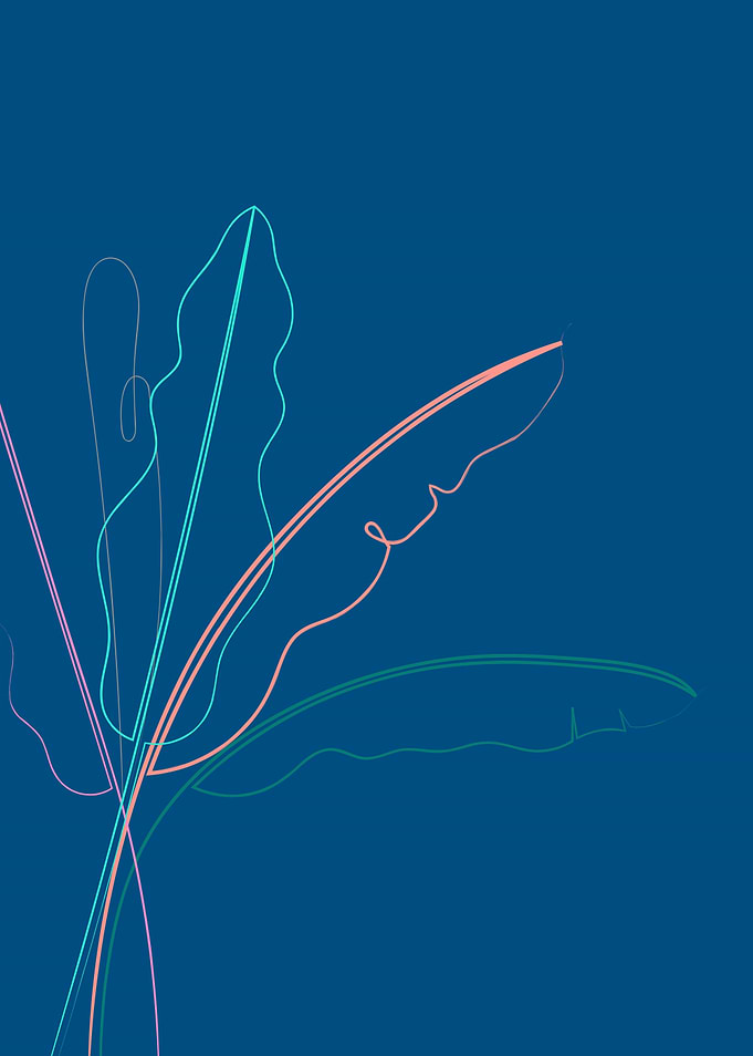 Banana Palm On Blue