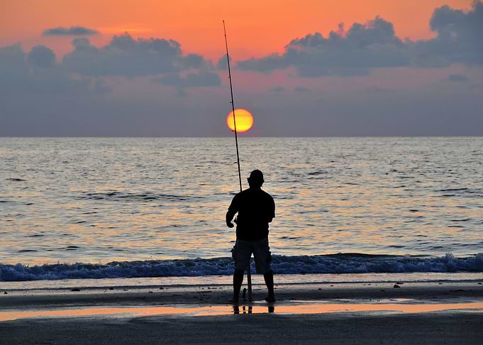 Catching the sun