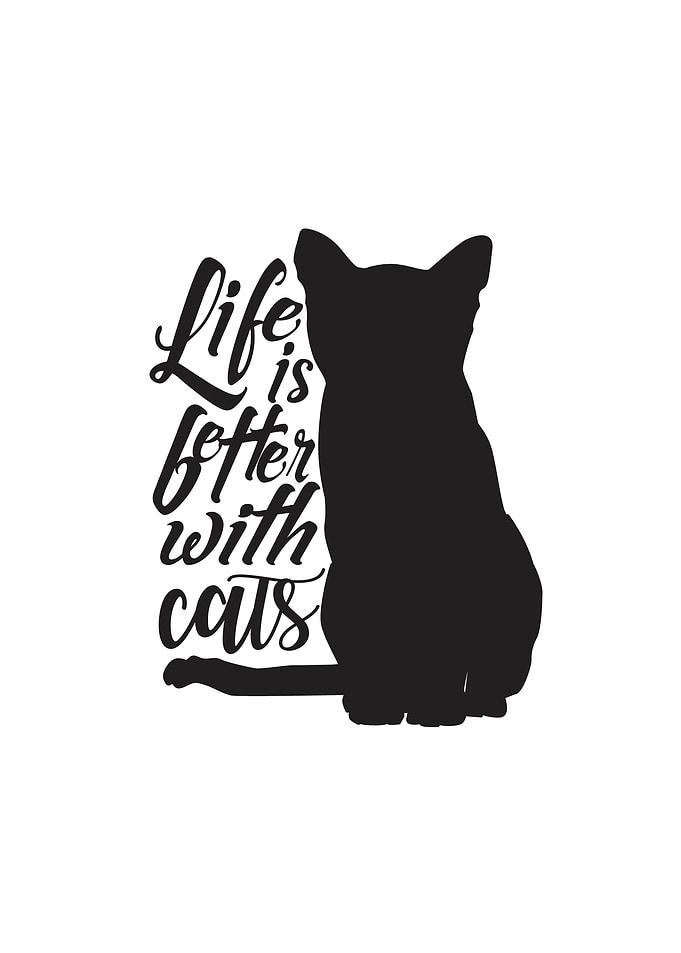 Life Cat