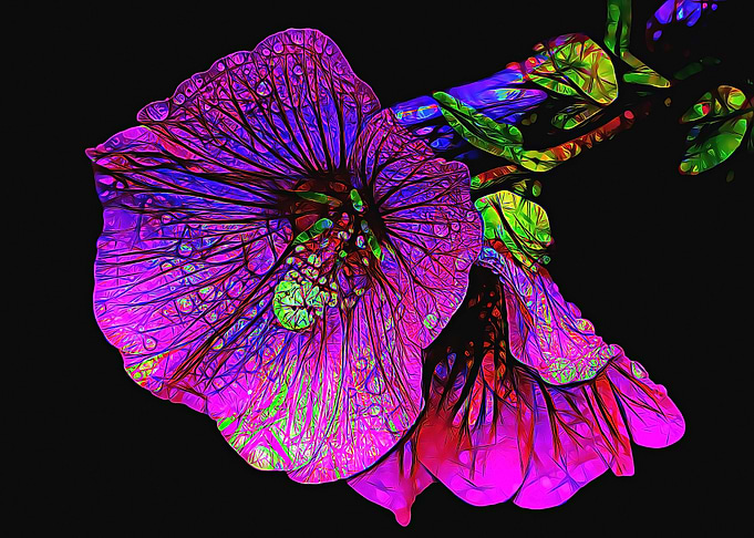 macro flower poster