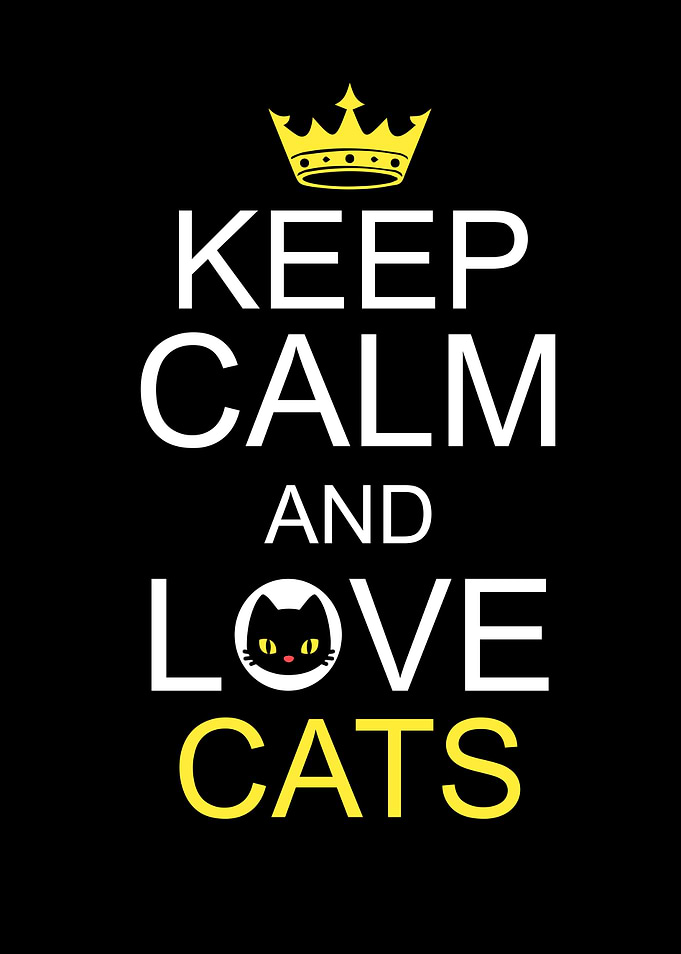 Keep Calm And Love Cats