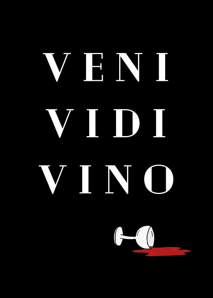 Veni Vidi Vino