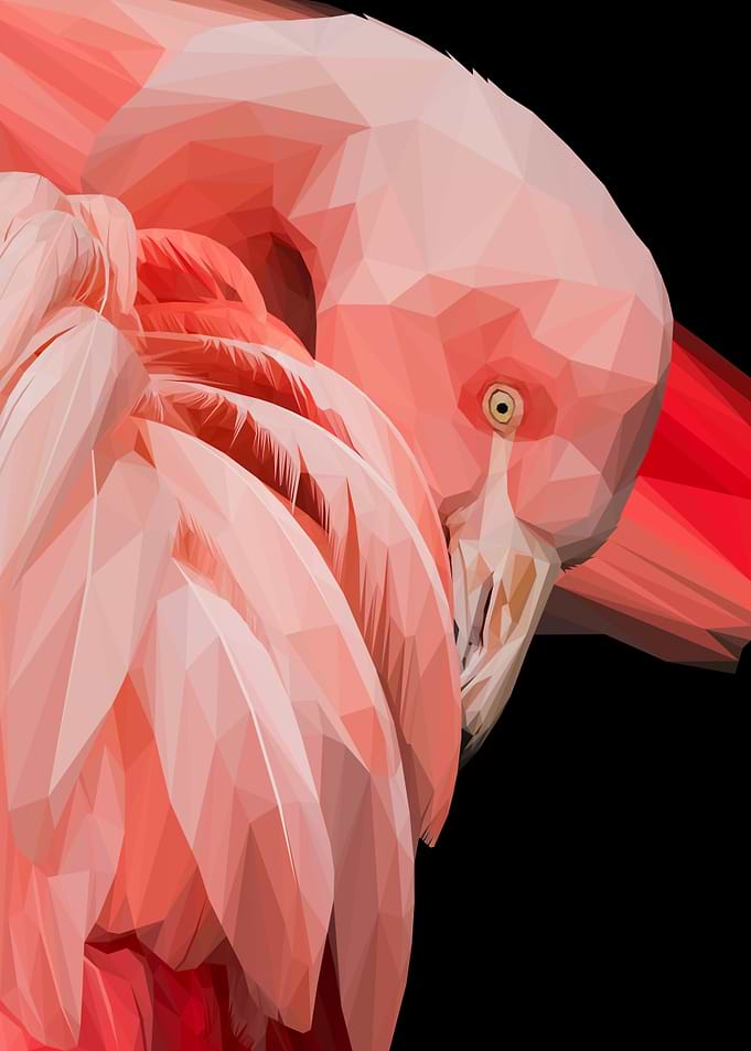 Flamingo Bend Over Lowpoly