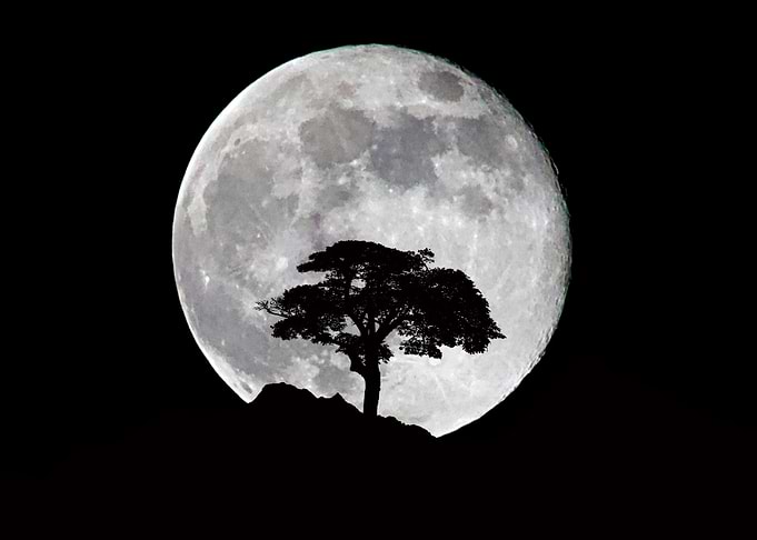 the night with the moon an
