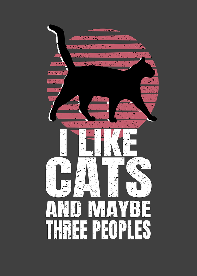 I Like Cats And Maybe