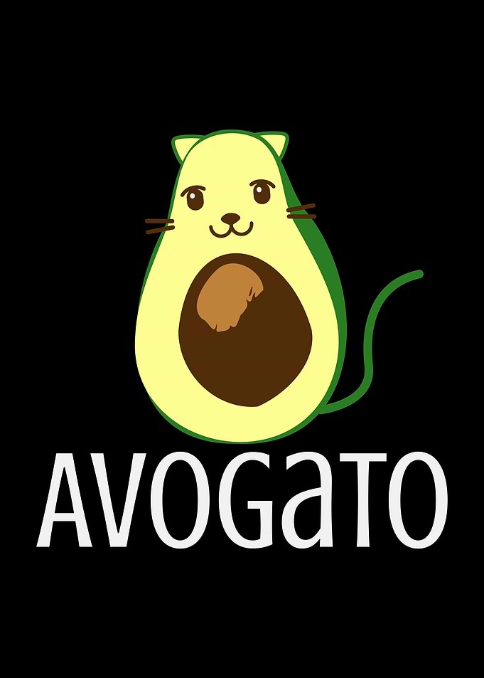Avogato Avocado Cat Cats