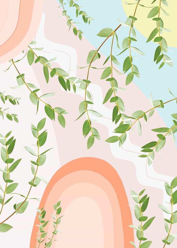 Eucalyptus Rainbow Dream 2