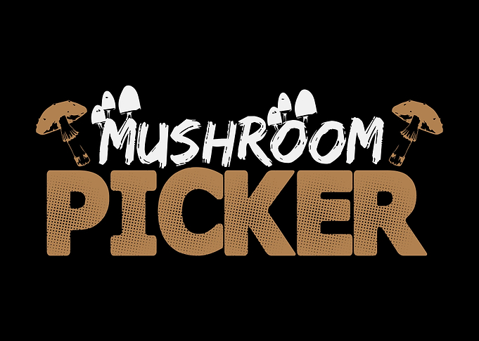 Mushroom Picker Mushrooms