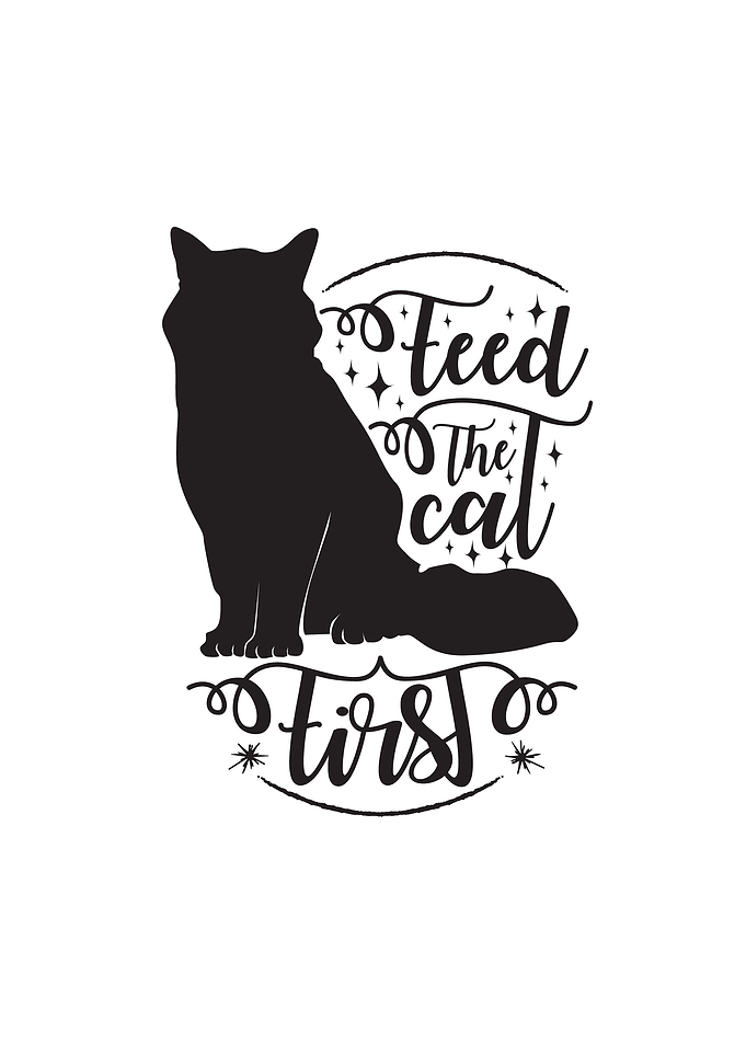 Feed Cat