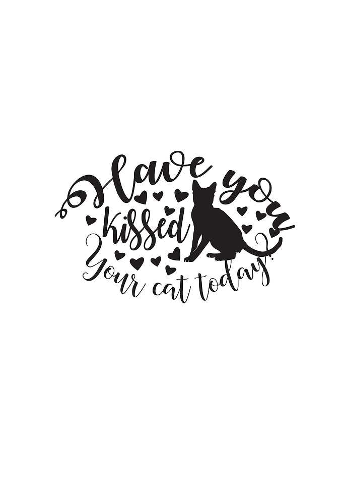Kissed Cat