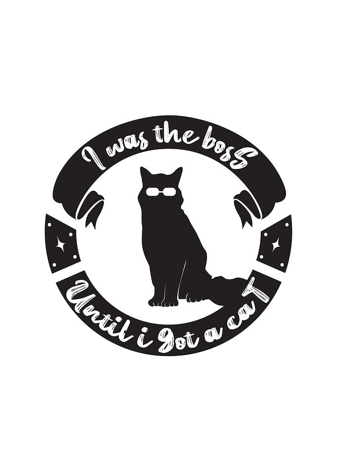 Boss Cat