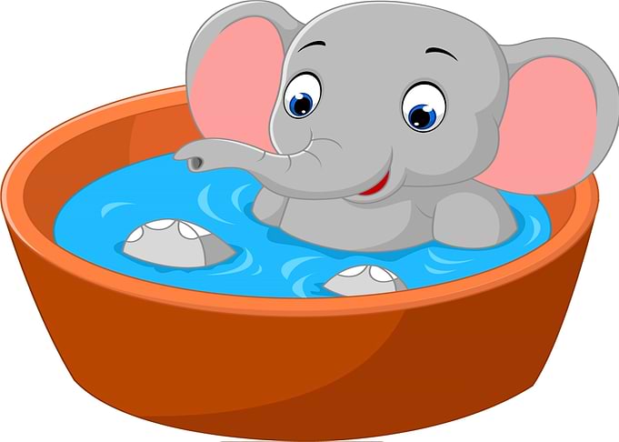 Elefant Baby