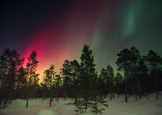 Northern Light