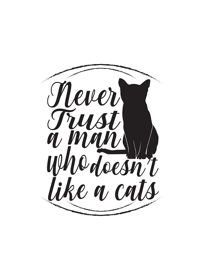 Never Cat