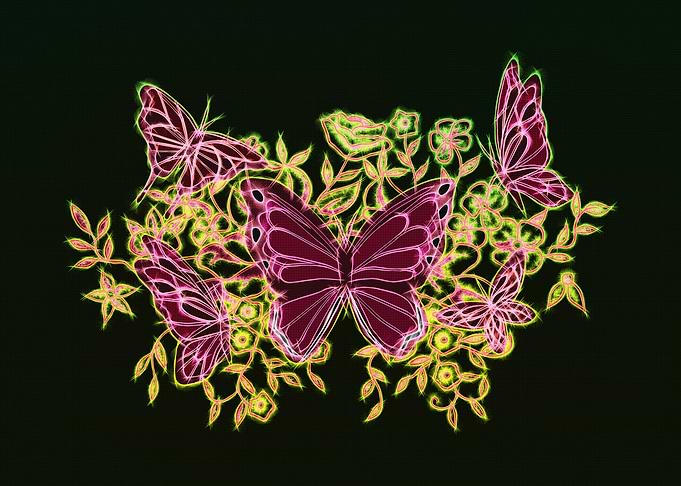Butterflies and Flowers