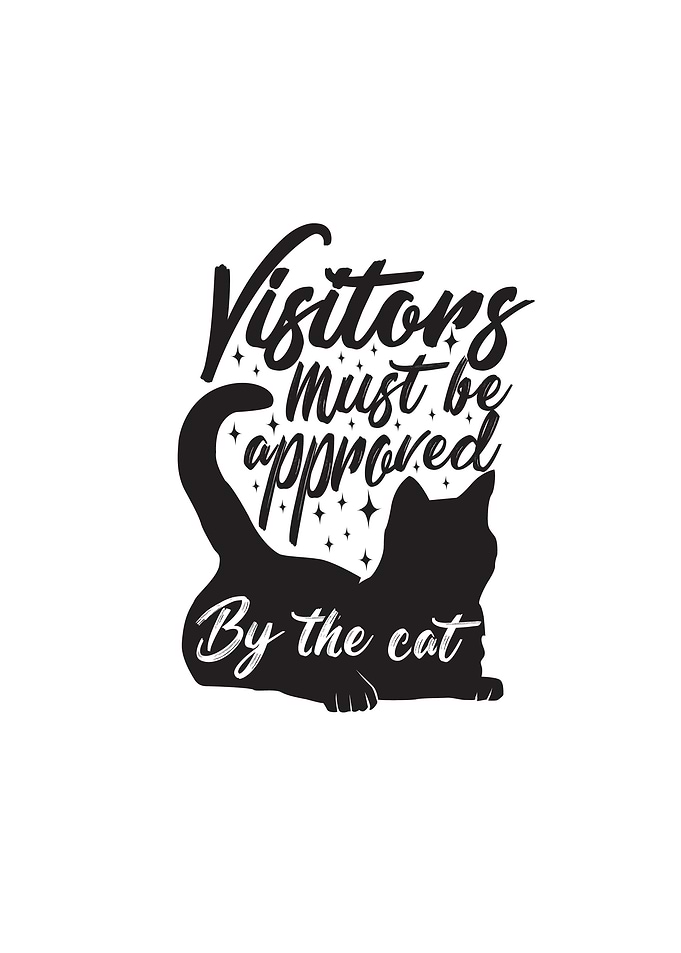 Visitor Cat