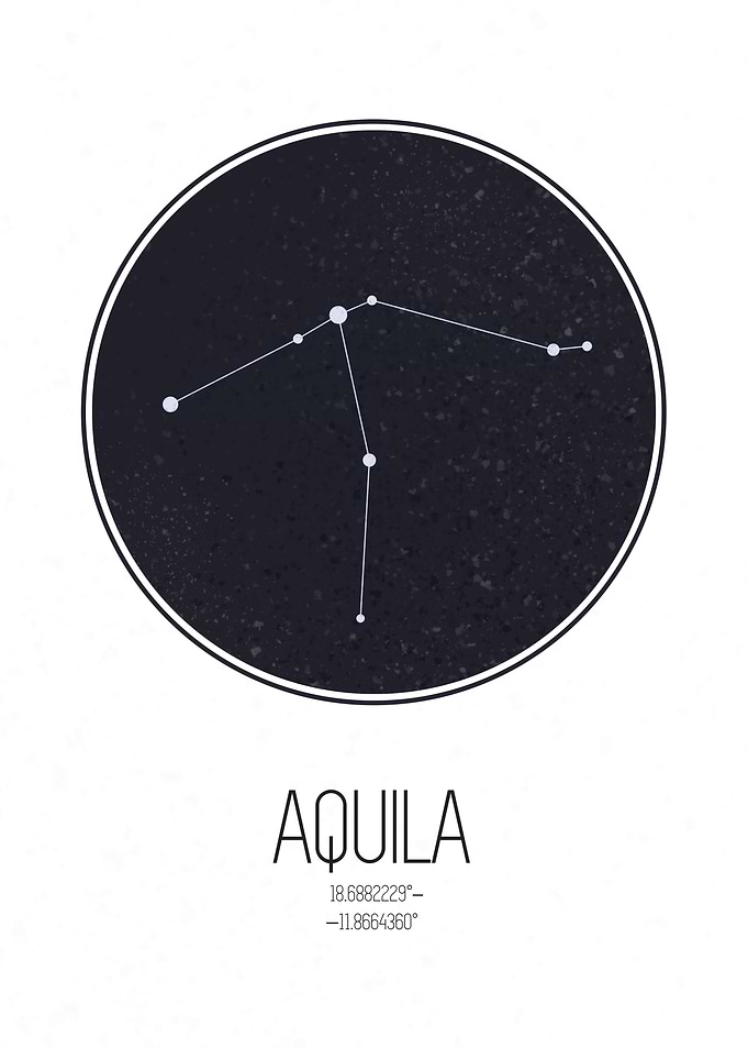 Aquila