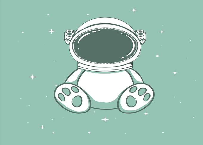 White Bear In Space